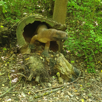 Wer kommt denn hier?