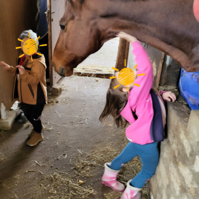 Besuch im Pferdestall Besuch im Pferdestall
